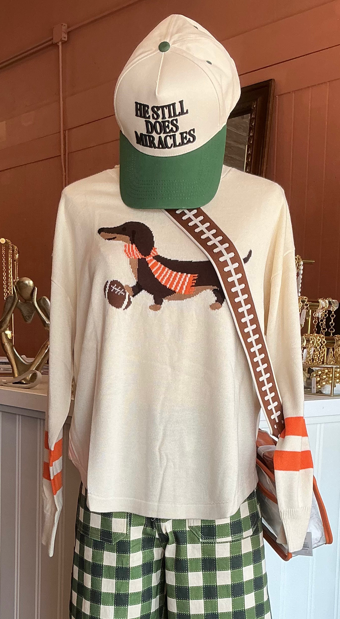 Game Day Doxie Sweater
