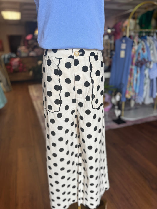 Polka Craze