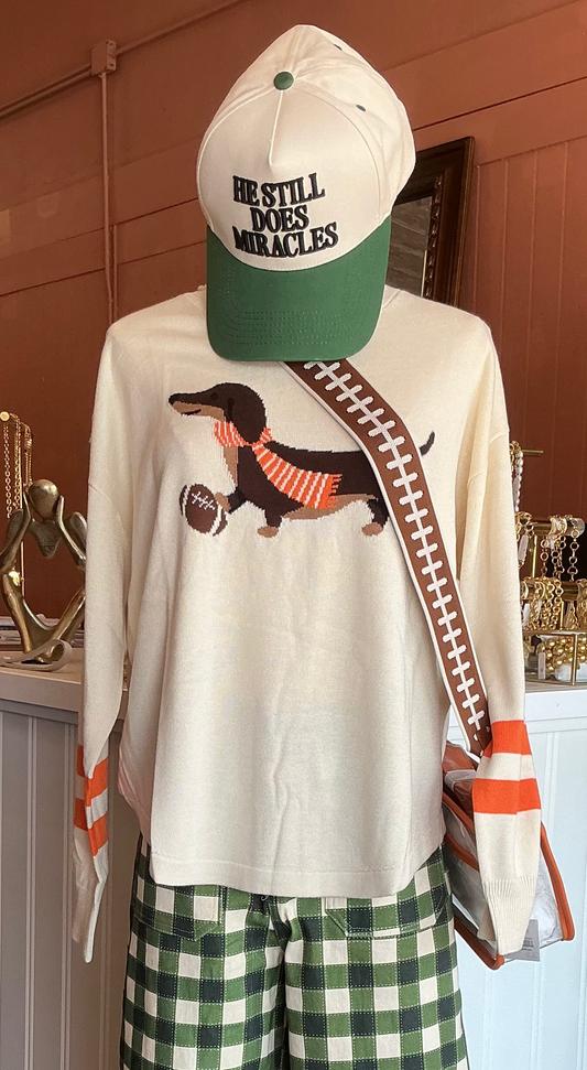 Game Day Doxie Sweater